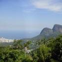 Reflorestamento é solução para salvar bacias hidrográficas do Rio