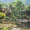 Alemanha destinará mais de R$ 200 milhões para conservação da Amazônia