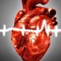 Coração ‘morto’ é transplantado pela 1ª vez na Europa