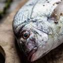 Feira do Peixe no Ceagesp vai até a próxima quinta