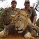 Zimbábue proíbe caça para evitar casos como o do leão Cecil