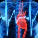 A nova cardiologia comportamental