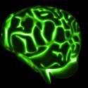 Novidades sobre a ação da serotonina no cérebro