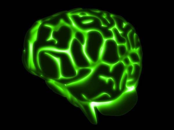 Novidades sobre a ação da serotonina no cérebro