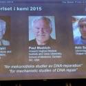 Trio que estudou mecanismos de reparo do DNA ganha o Nobel de Química