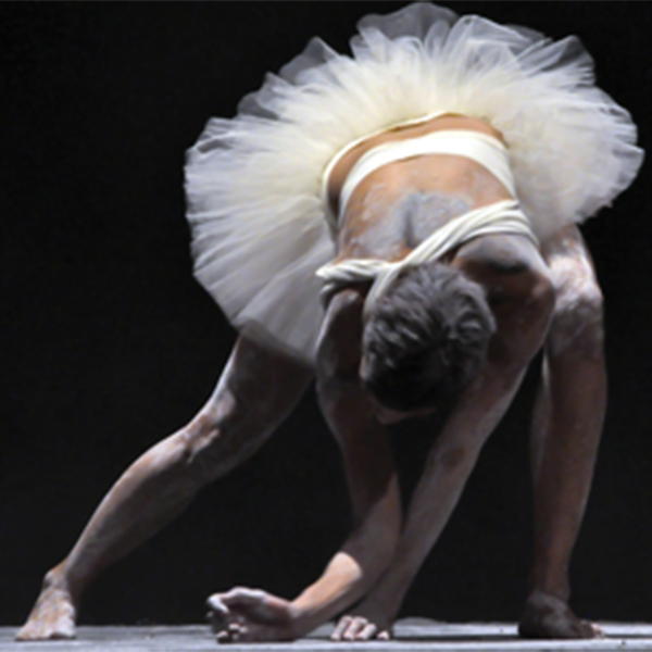 São Paulo recebe 3ª edição da  “Mostra Latino-Americana de Dança Contemporânea”