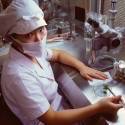 Cientistas anunciam criação de embriões humanos imunes ao HIV
