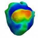 Coração virtual ajuda cientistas a compreender a insuficiência cardíaca
