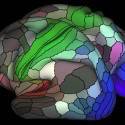 O novíssimo mapa do cérebro humano