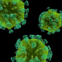 Estudo mostra o que está impedindo o sucesso de vacinas contra o HIV