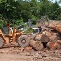 Amazônia perde 7.989 km² de floresta, maior desmatamento desde 2008